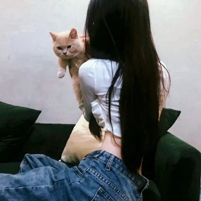 蒙面达虎